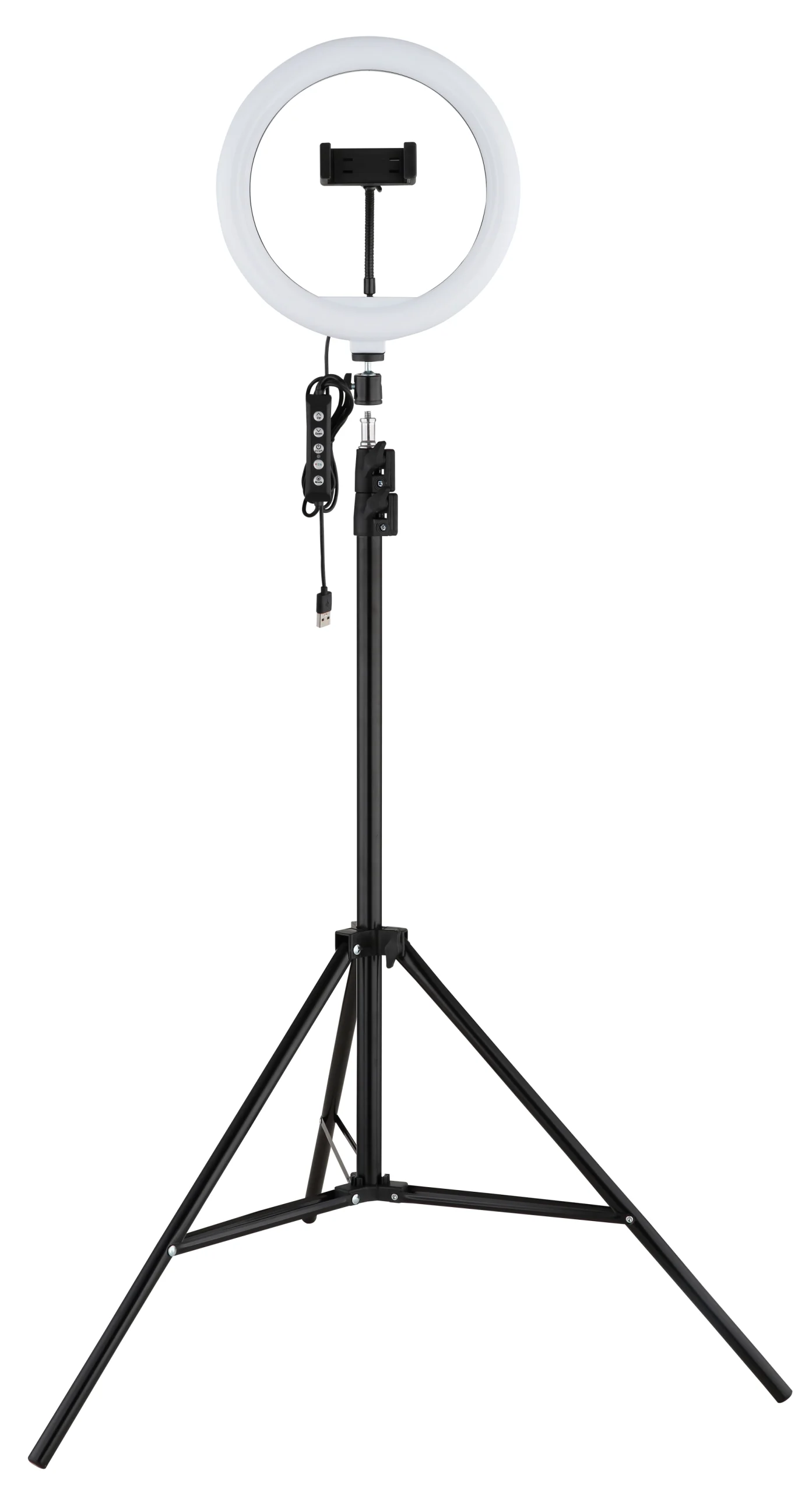25897_p scaled