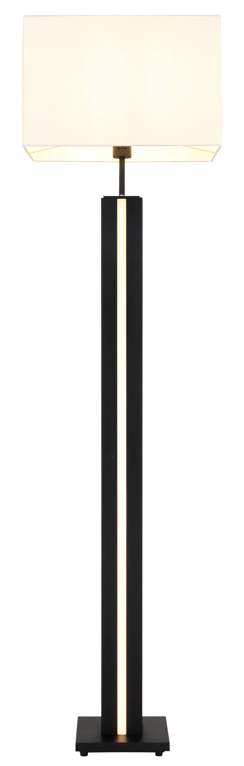 41130208_c scaled