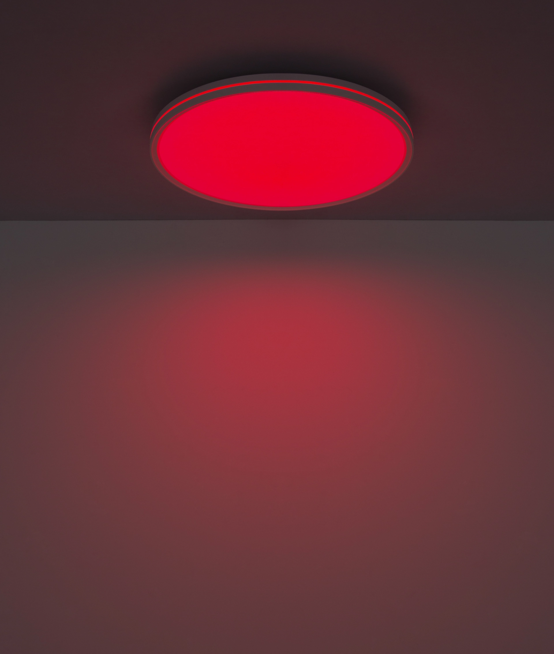 41267 24RGB_sb
