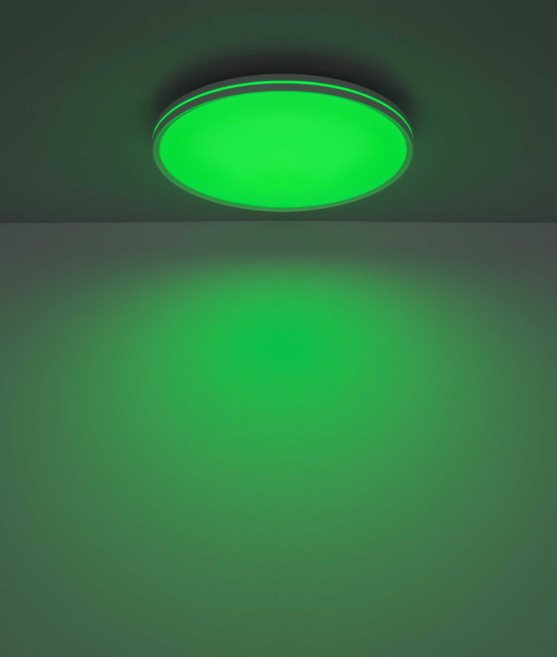 41267 24RGB_sc