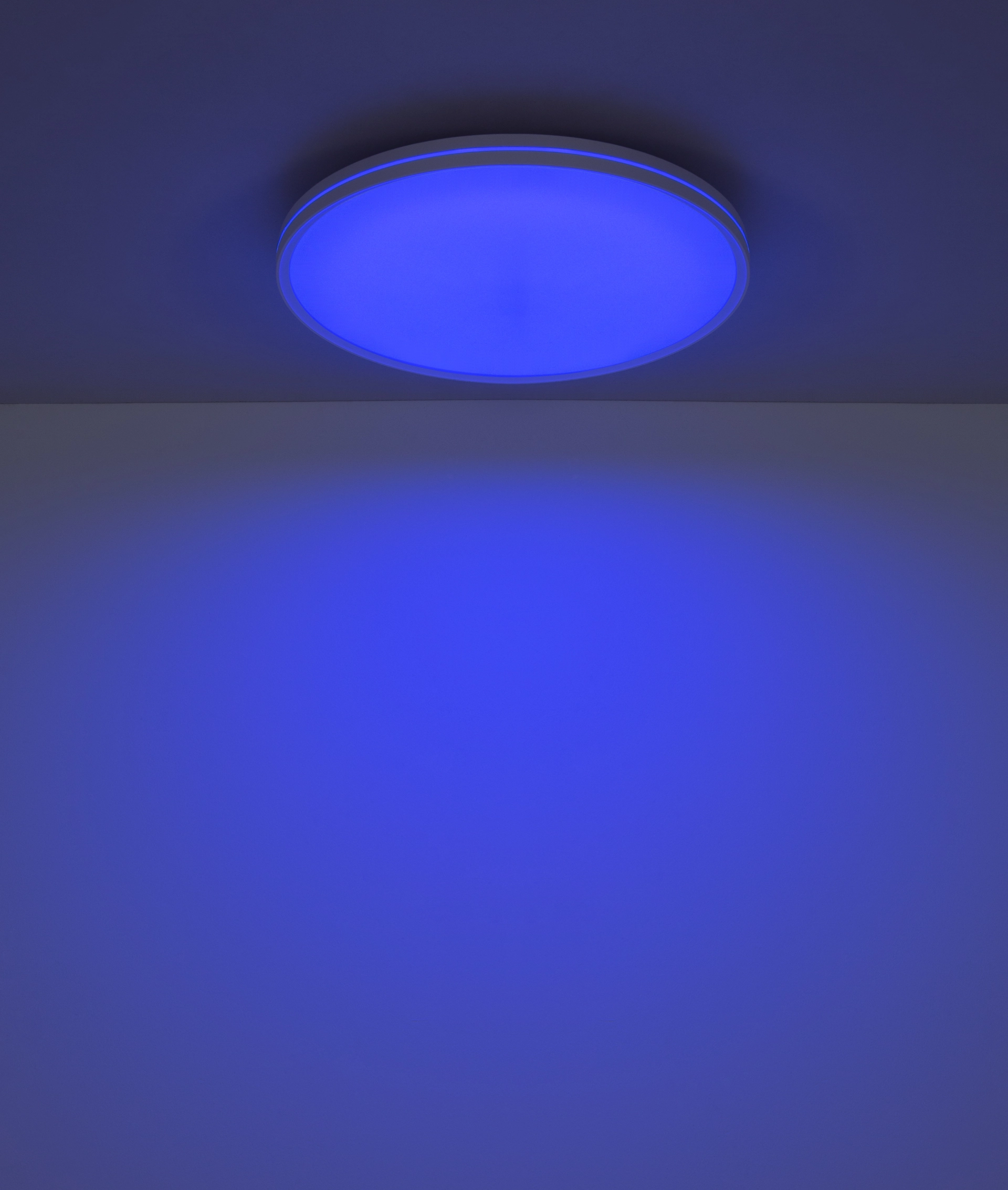 41267 24RGB_sd