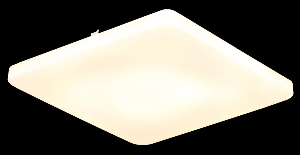 41548 24_ax