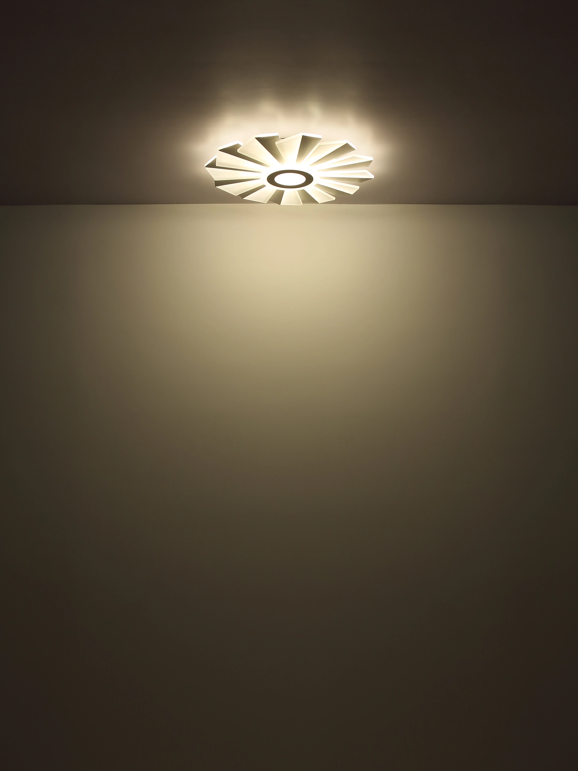 48559 58_s