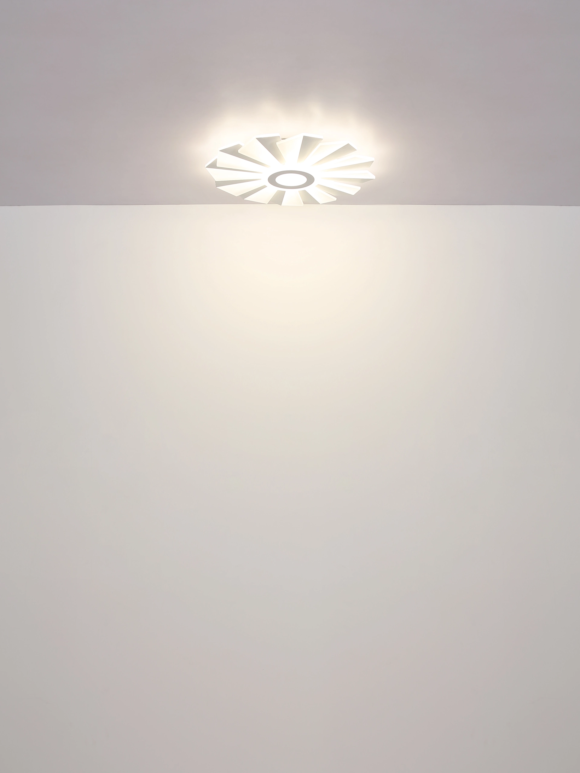 48559 58_t