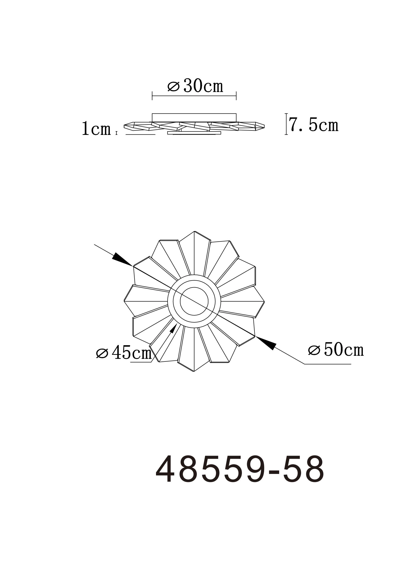 48559 58_zld