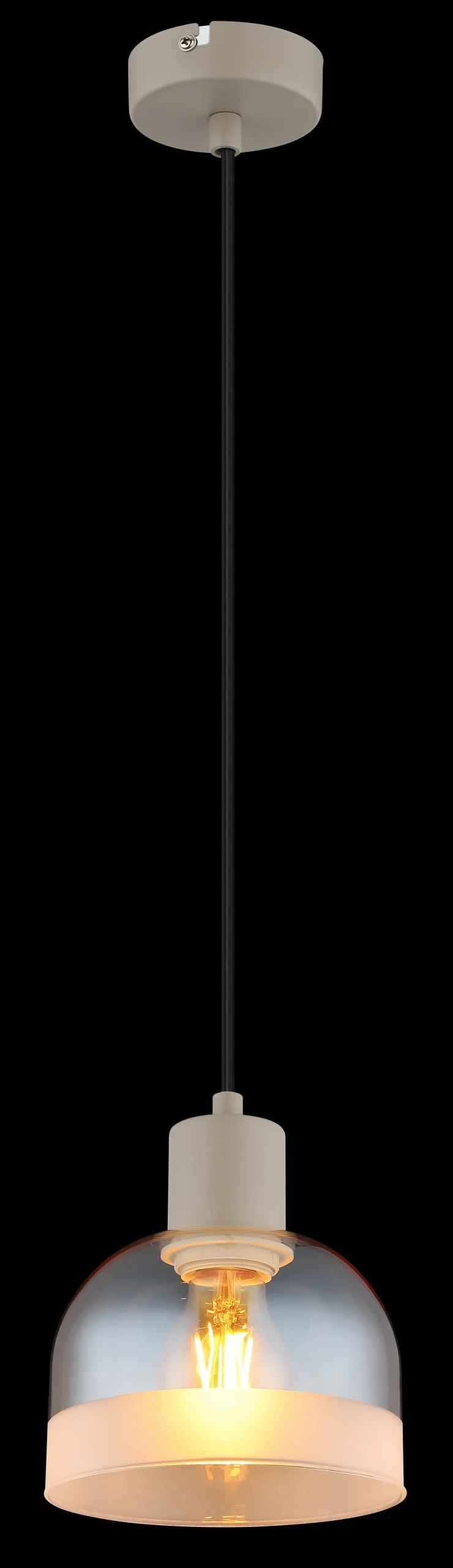 54048 1HSA_ax scaled