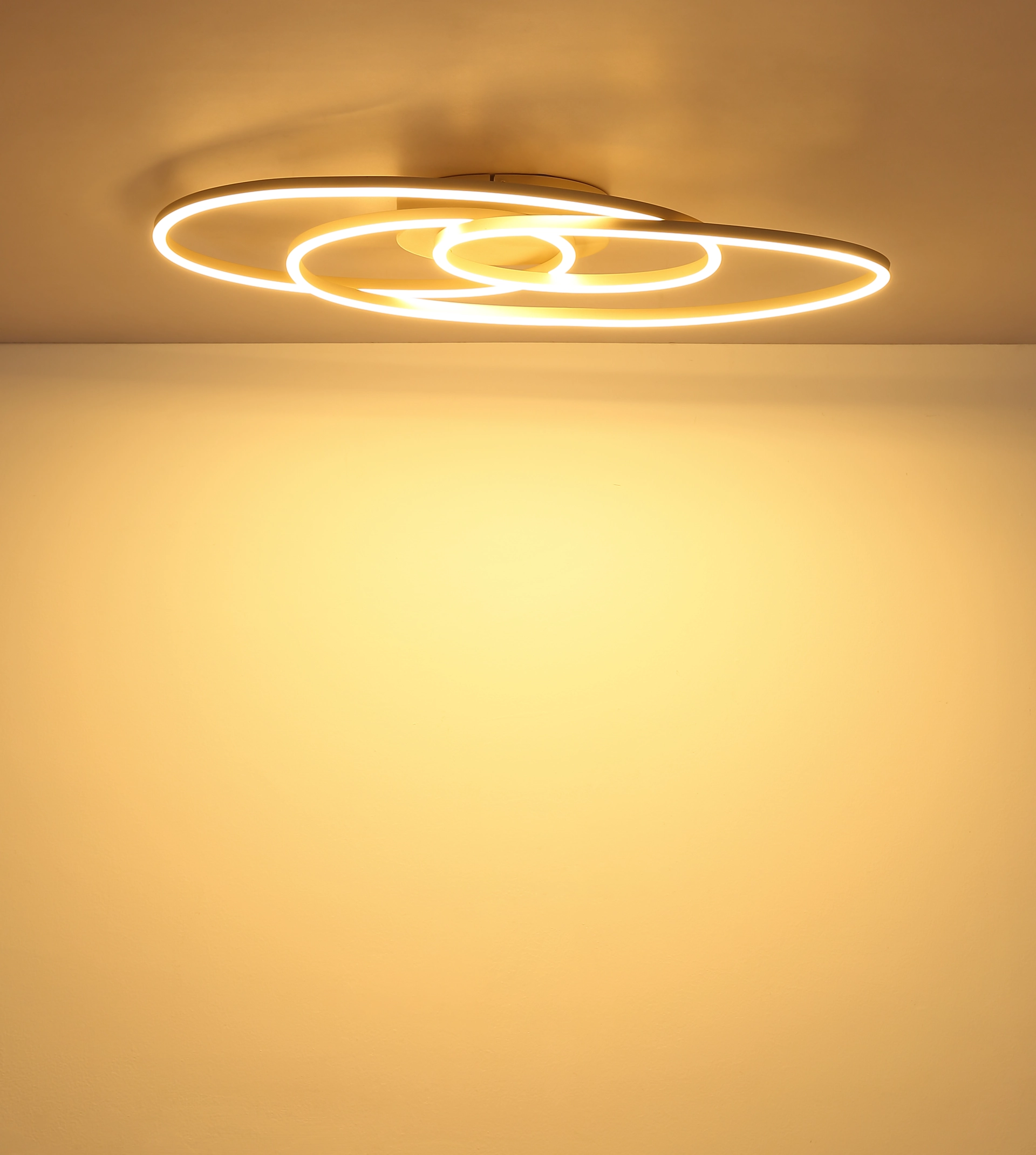 67177 24S_s
