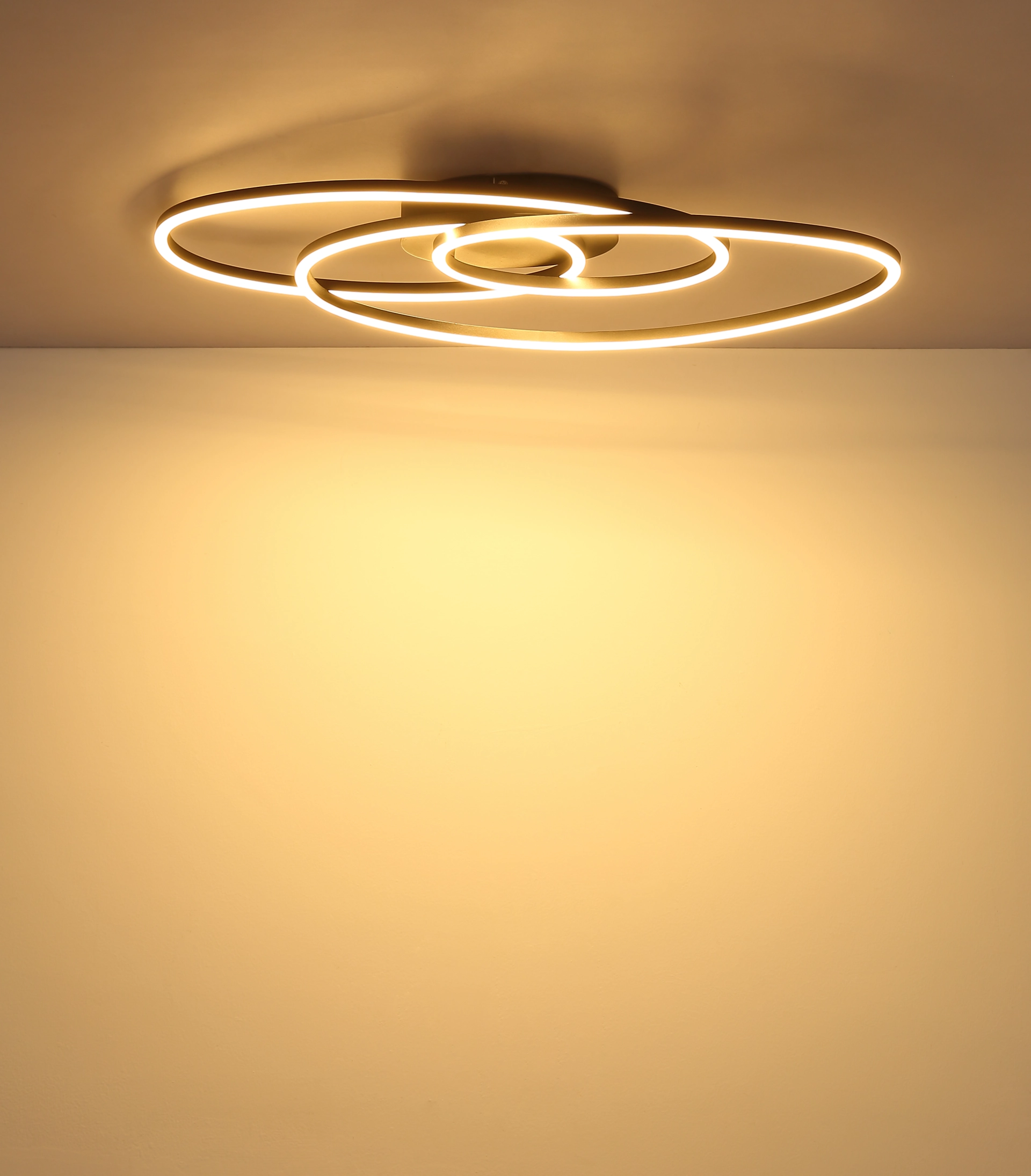 67177 24_s