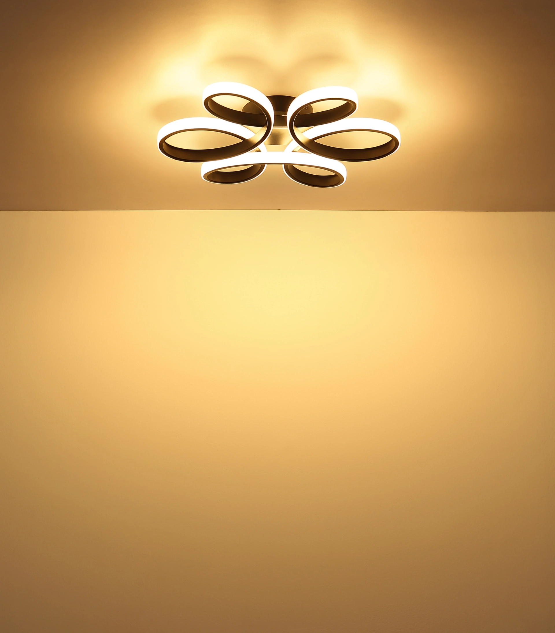 67397_s