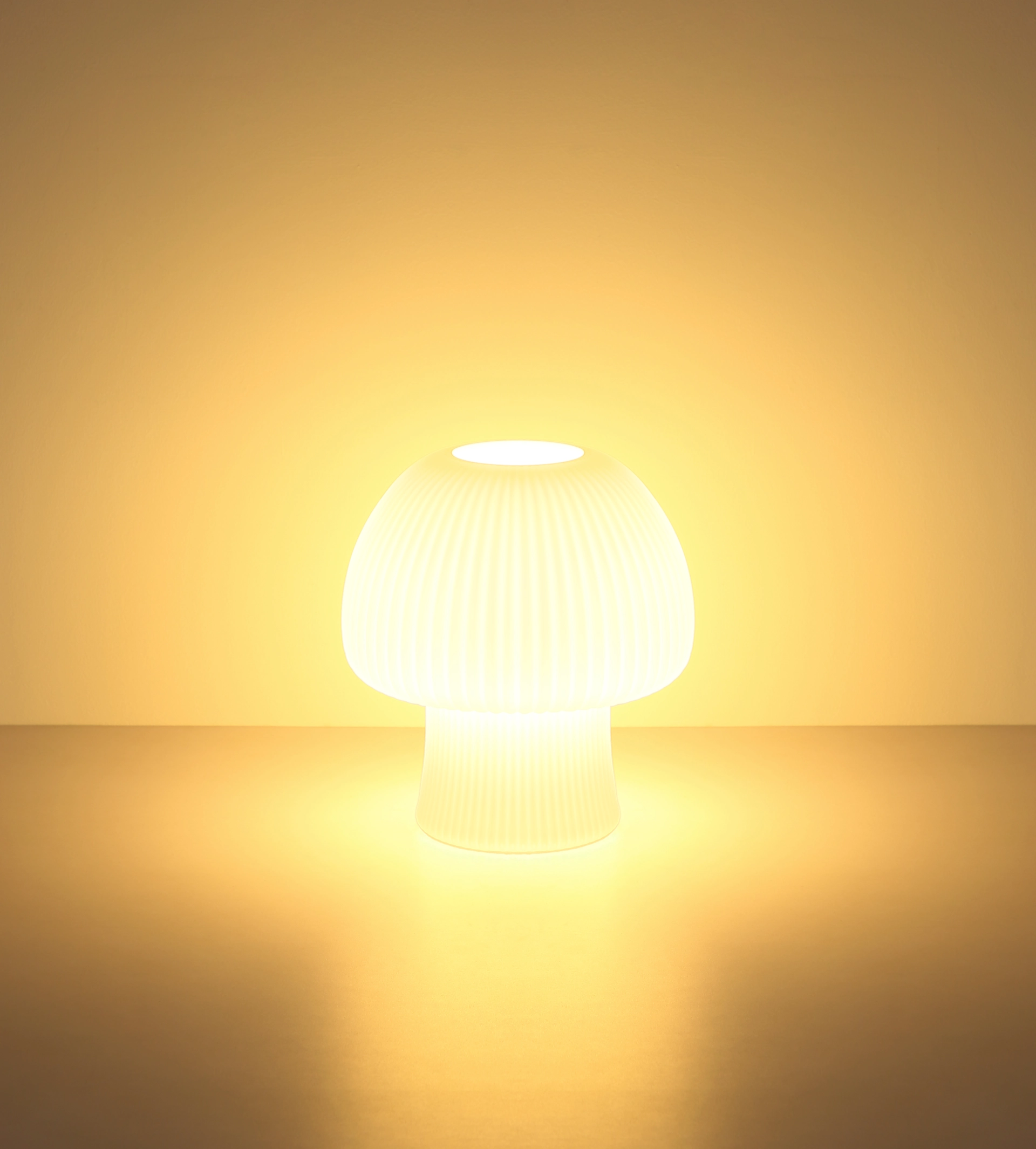 21080_s
