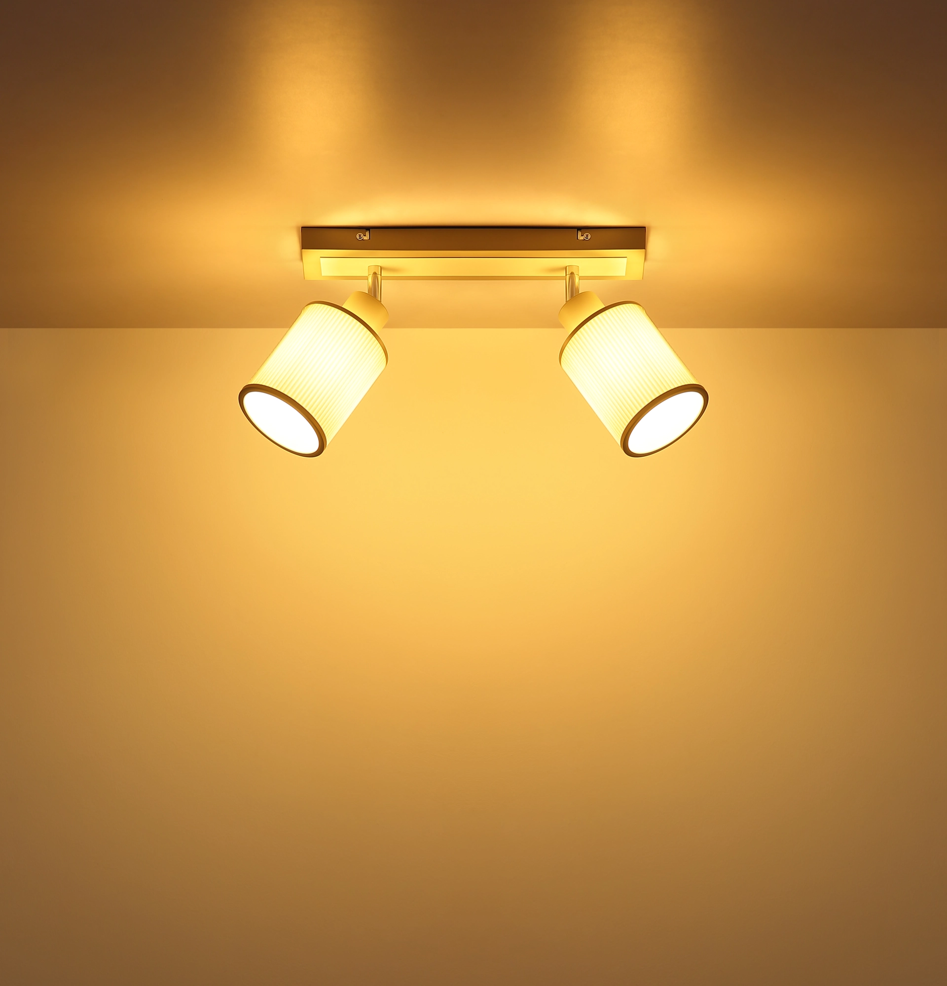 54977 2_s