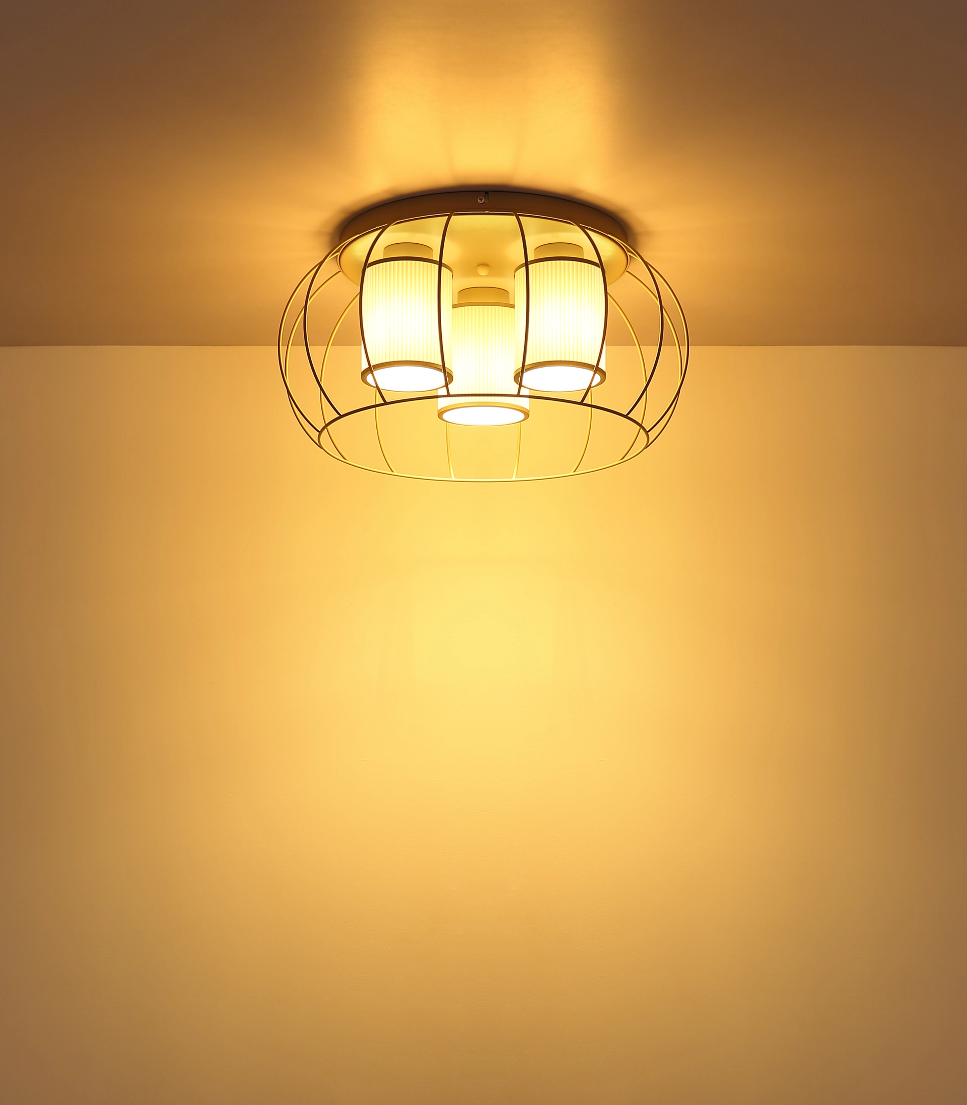 54977 3D_s