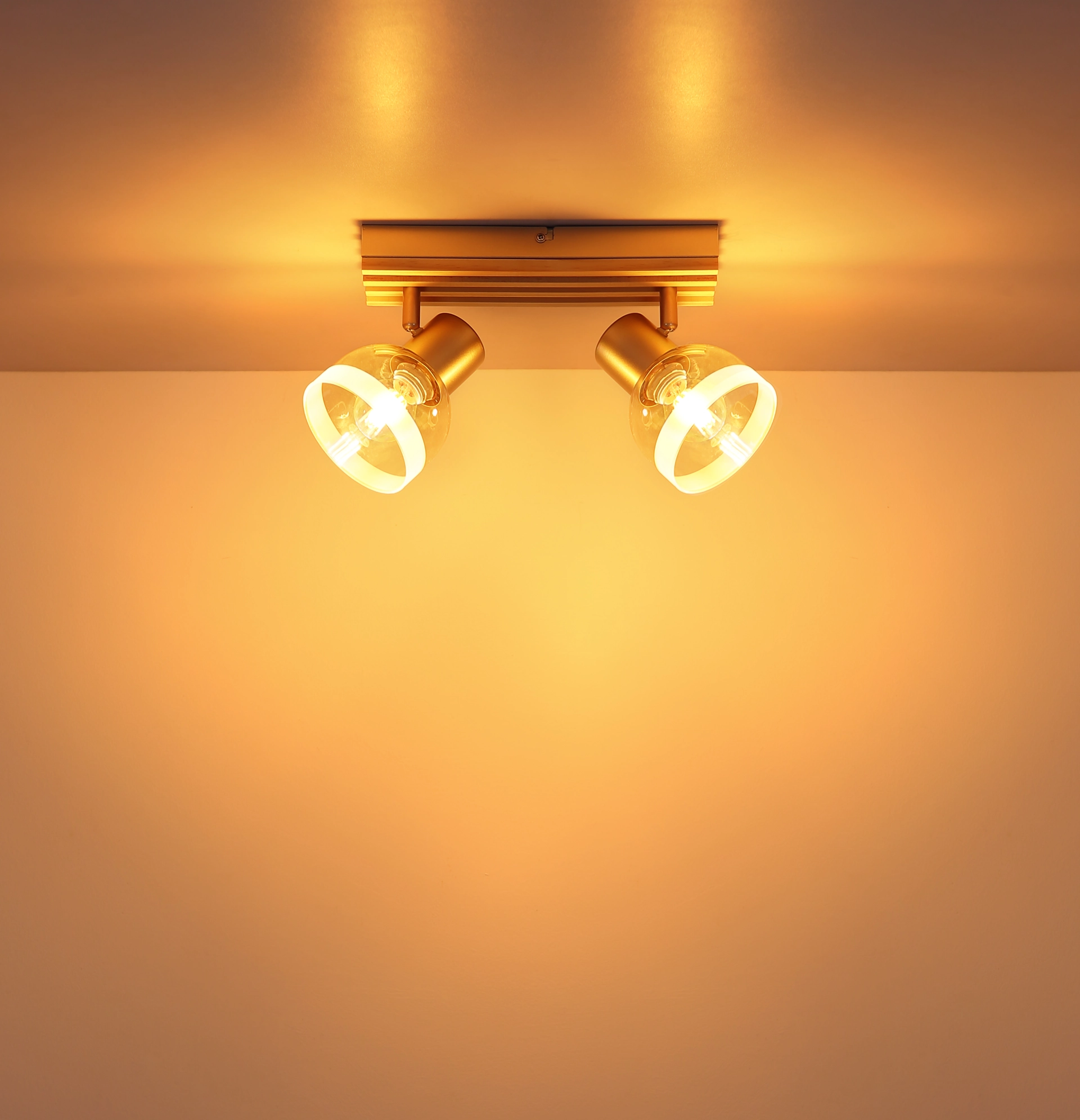 54603 2_s